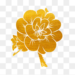 烫金梅花花朵花纹