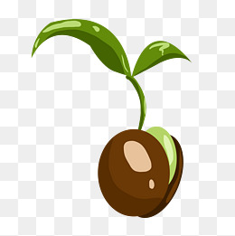 手绘春季绿植插画