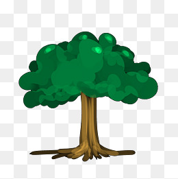 树木树干树枝果子