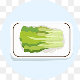 盘子里的蔬菜怎么画图片