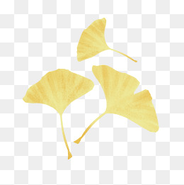 银杏叶手绘卡通勺子系列