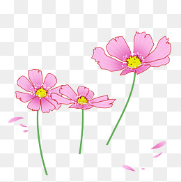 春天粉色的小花插画