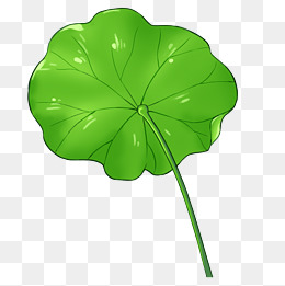 漂亮的荷叶免抠图