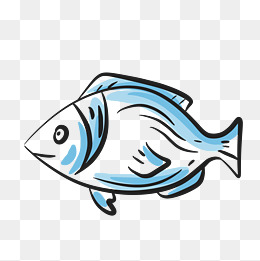 鱼彩色海洋生物橘色鱼类素材图片免费下载_高清psd_千库网(图片编号