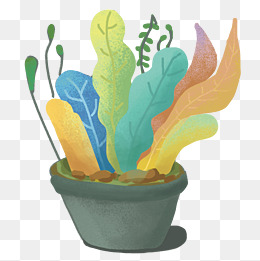 盆栽绿植卡通插画