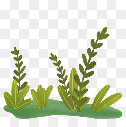 卡通茂盛草丛插图