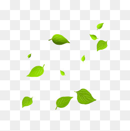 飘落的绿色树叶插画