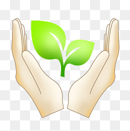 保护植物卡通插画