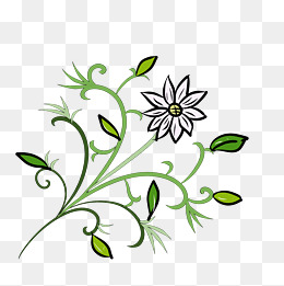 白色的小花装饰插画