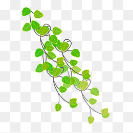 春夏绿色藤蔓png素材