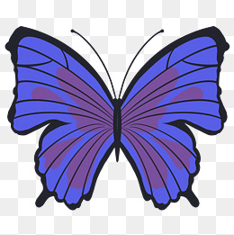 蓝色帝王蝶装饰插画