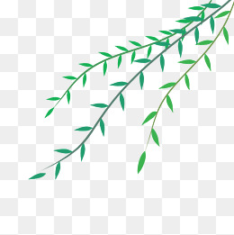可爱柳树柳枝柳叶手绘免扣