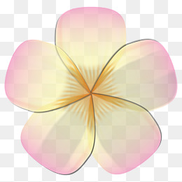 半透明花朵矢量免抠png