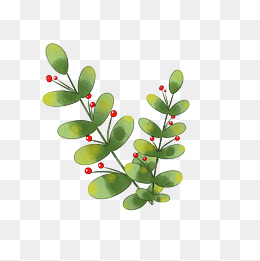 绿色植物叶子手绘水彩风透明底免抠