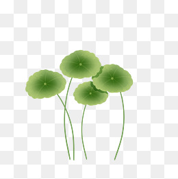 绿色植物叶子手绘金钱草透明底免抠
