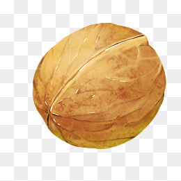 坚果核桃卡通插画素材图片免费下载_高清psd_千库网(图片编号12000114