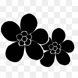 两朵黑色花朵插画