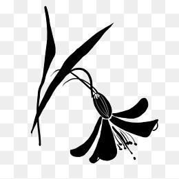 黑色的卡通叶子植物