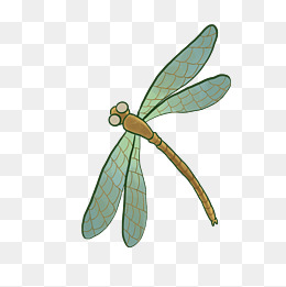 卡通蜻蜓飞翔插画