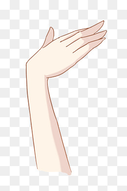 手部手背手势插画