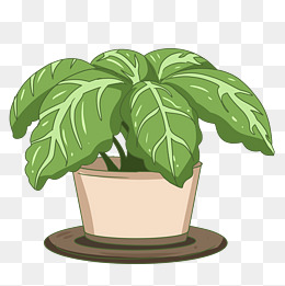 夏季植物盆栽插画