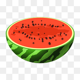 新鲜半个西瓜插画