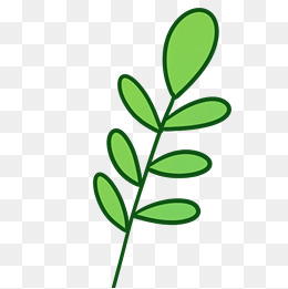 卡通绿色的植物叶子