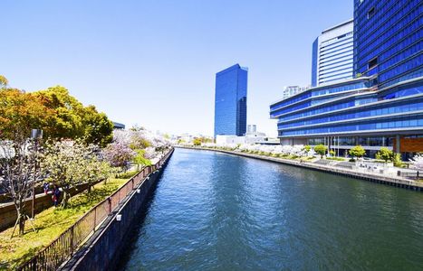 日本的河道樱花和建筑