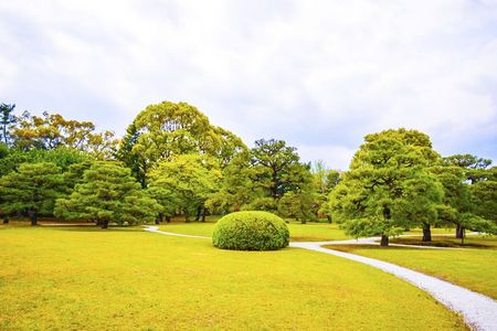 日本园林设计绿植和小路