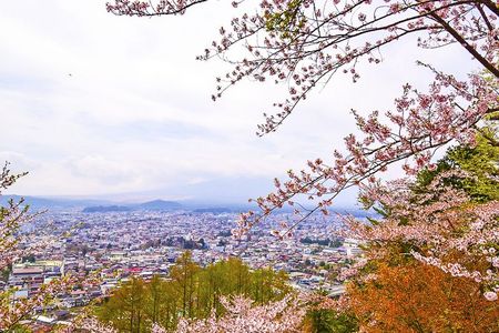 千库图摄影照片_日本樱花季城市俯瞰图