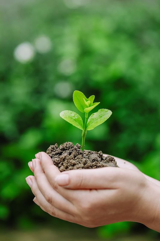 千库网_免费png图片背景素材下载,做设计不抠图