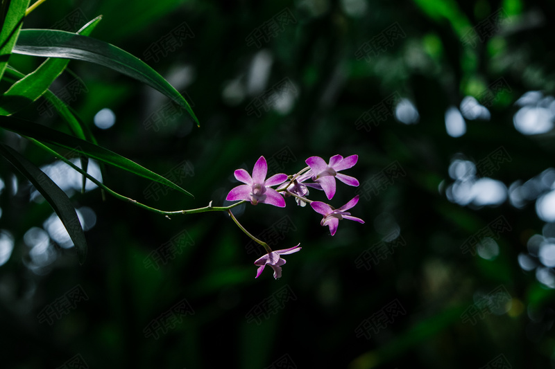 小激动清新轻快节奏背景音乐