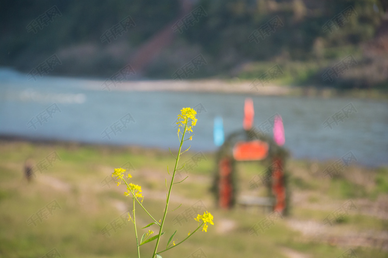 红色卡通卡通配乐音频素材_手风琴卡通动画有趣片头音效