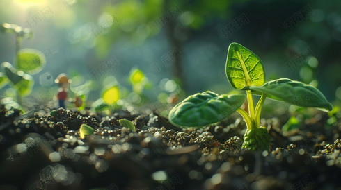 户外绿色绿植发芽的摄影摄影图