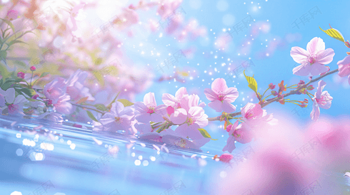 盛开的美丽樱花摄影31