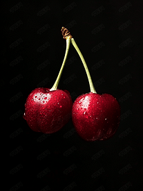 黑色背景中分离出两个成熟的樱桃浆果