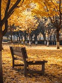 草坪上的木凳上铺满了黄叶