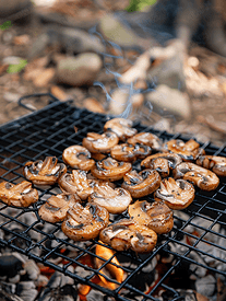 蘑菇烤野餐细节钢格栅上的食物
