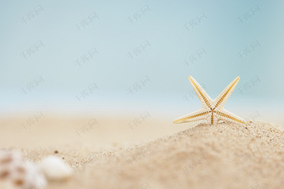 小海星沙滩创意夏日图片