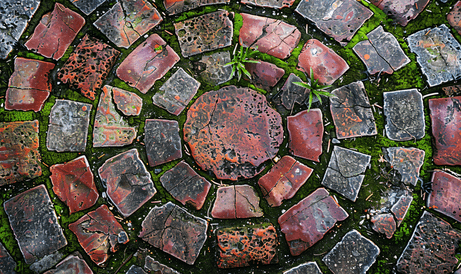 带脏苔藓的红色圆形铺砖