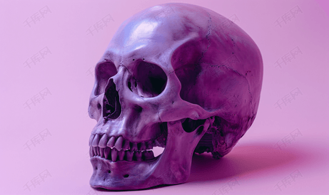 紫色切碎头骨以不寻常的角度