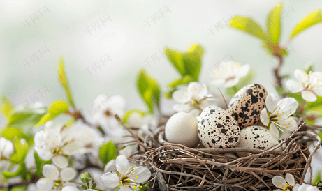 垂直复活节横幅鹌鹑蛋在巢里