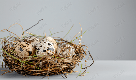 垂直复活节横幅鹌鹑蛋在巢里