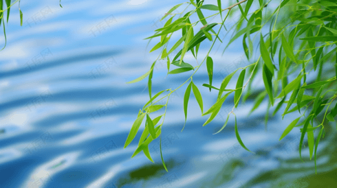 夏天湖面柳树自然风景摄影高清图片