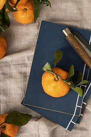 橘子水果中式风格图片