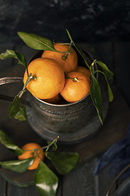 冬季水果橘子暗调图片