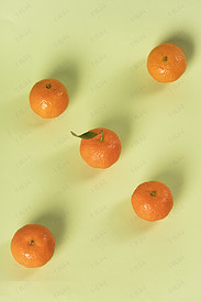 五颗橘子淡绿色背景小清新水果图片