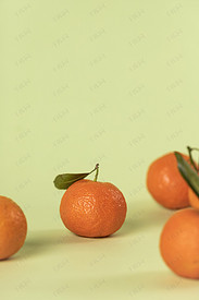 橘子沙糖桔清新风格绿色背景