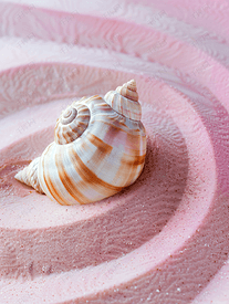粉红色背景上沙滩上的海洋漩涡壳度假旅行概念复制空间