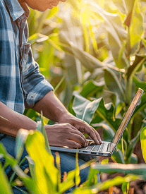 技术员农民使用笔记本电脑检查农业技术农业概念中的玉米